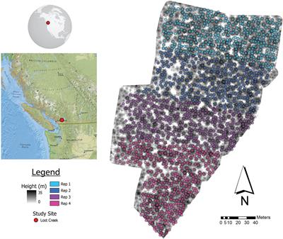 Generating Douglas-fir Breeding Value Estimates Using Airborne Laser Scanning Derived Height and Crown Metrics